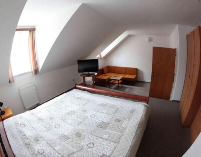 Penzion Bohemia (Two-Bedroom Apartment (4 Adults))