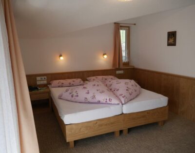 Double or Twin Room (Pension Bergkristall)