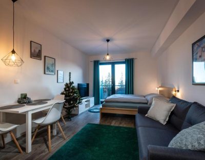 Apartmány ABIES – Štrbské Pleso(One-Bedroom Apartment)