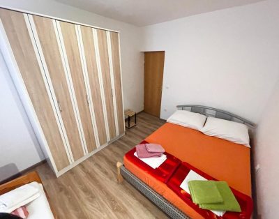 Apartmani Fruk-One-Bedroom Apartment