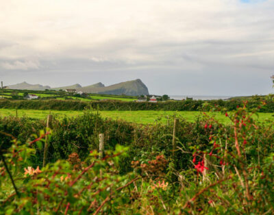 An Riasc Farmhouse Rental – Room 1 – Na Borraí (The Waves)